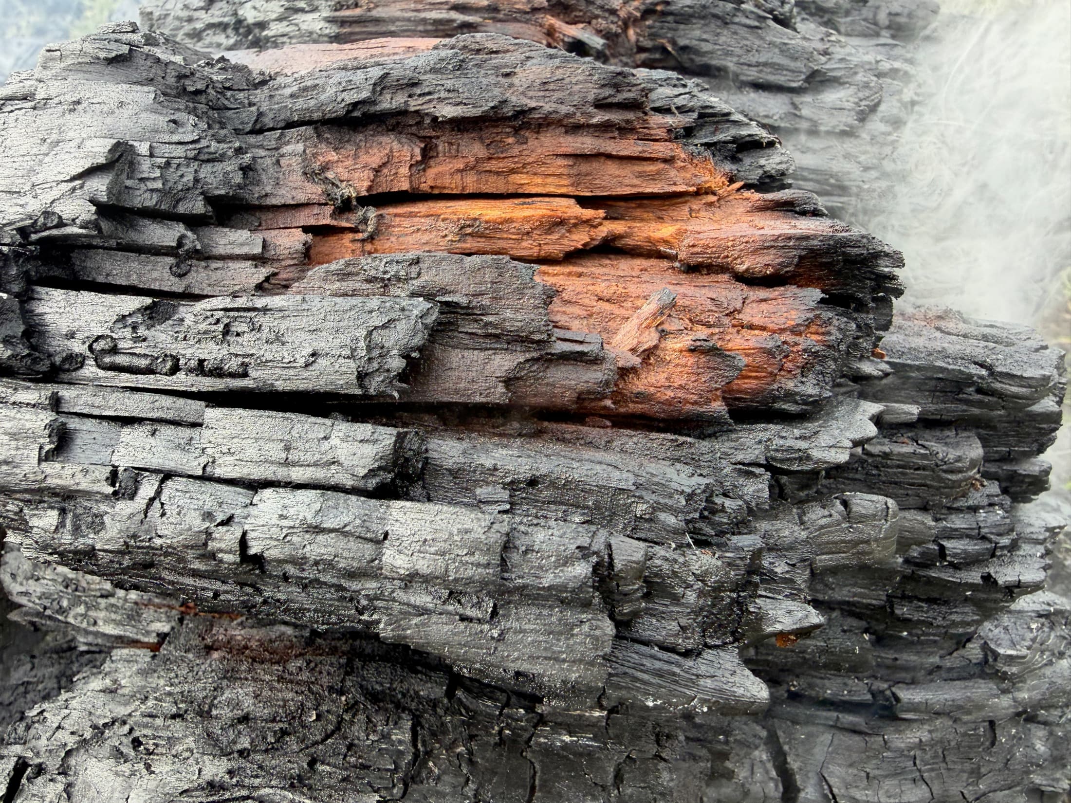A charred log with a glowing red-orange core during a biochar pyrolysis burn