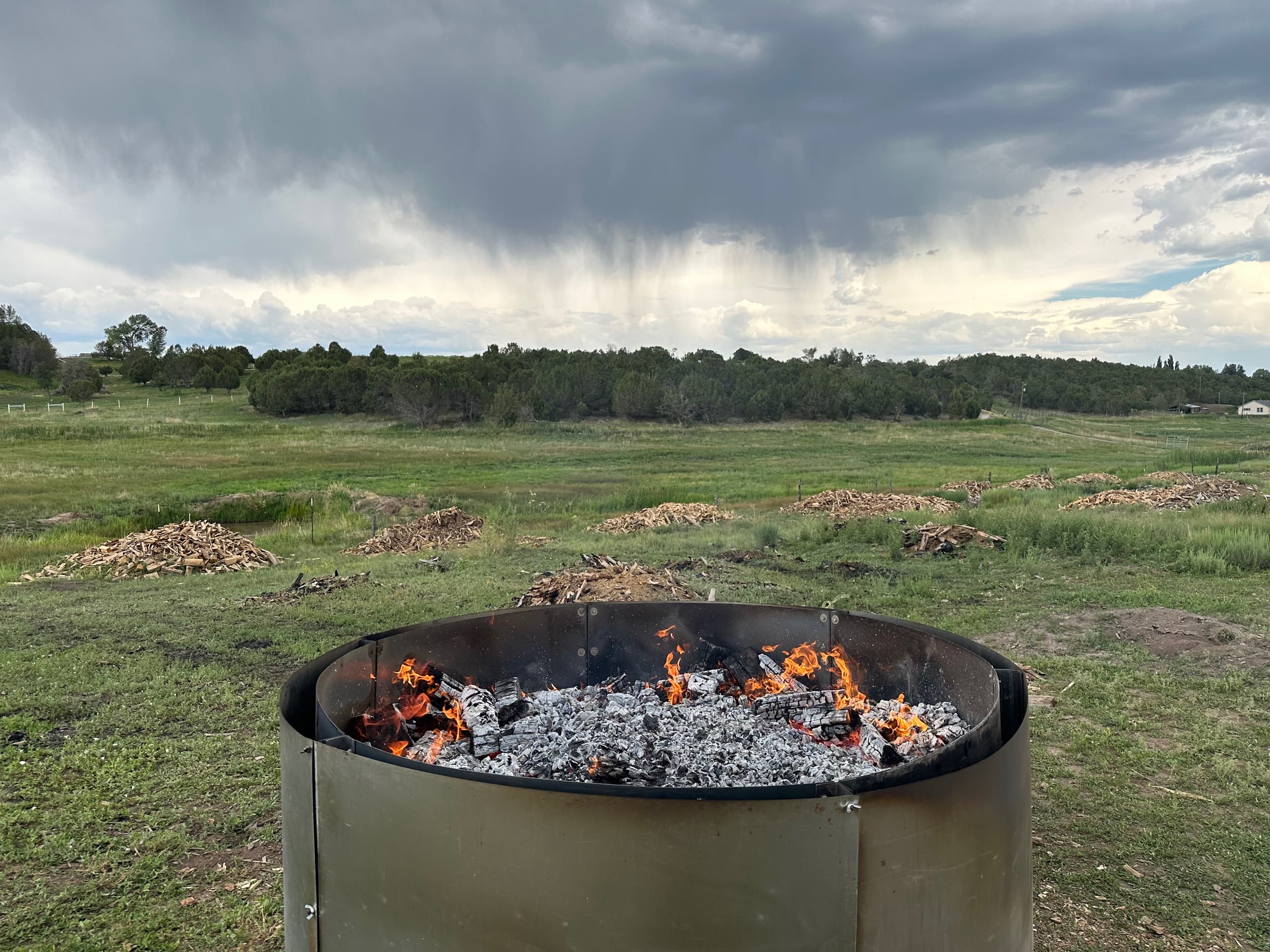 A Gardens of Fire barrel kiln burning down to embers in the pasture, wood piles ranged across the field and a rainstorm sweeping the tree line beyond